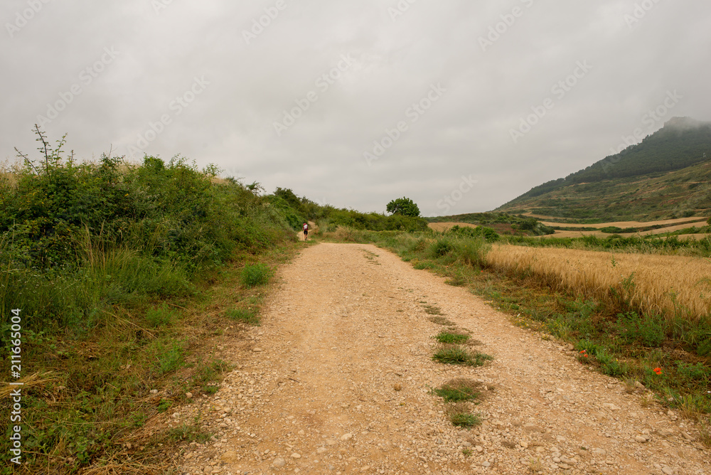 Camino de Santiago as it passes through Navarra Camino de Santiago as it passes through Navarra