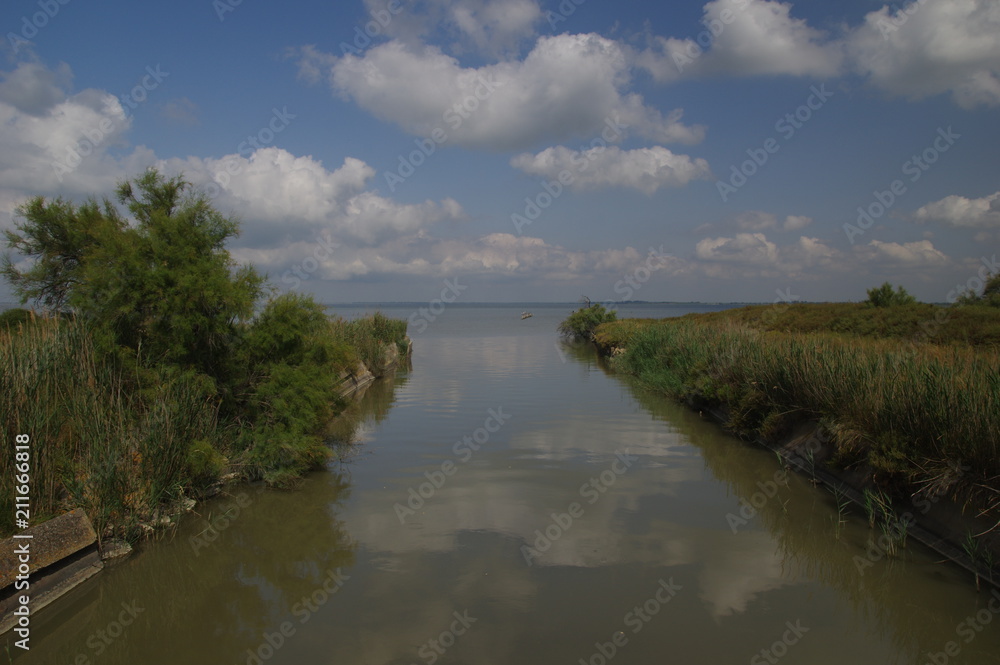 Kleiner Zufluss in der Camargue