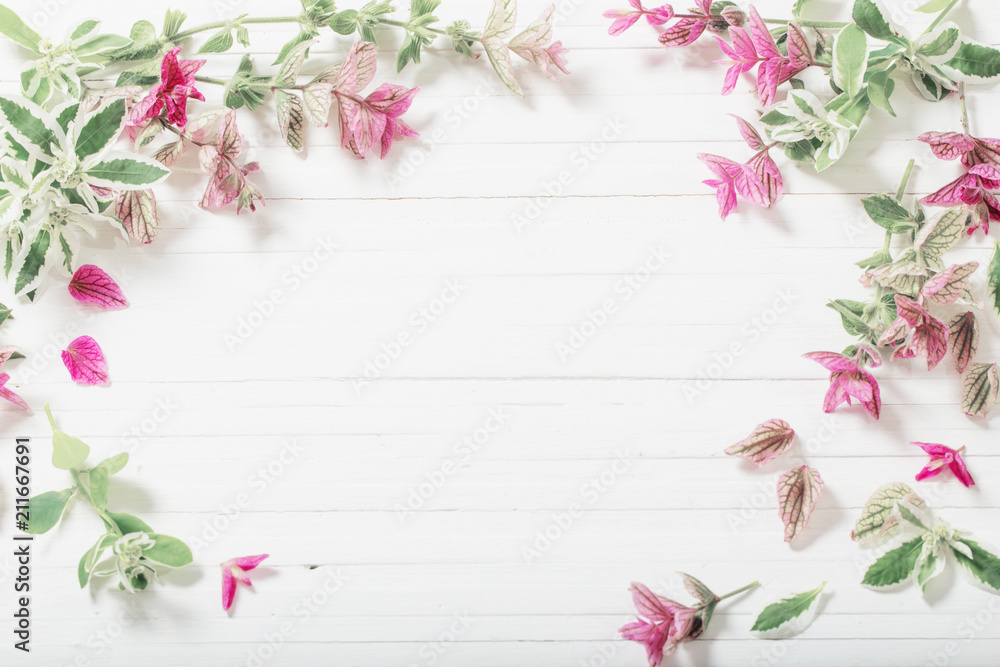 Sage decorative on white wooden background Sage decorative on white wooden background