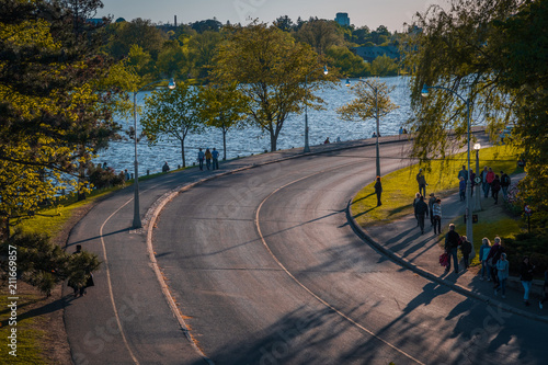 Tableau sur toile Curved road near Dow Lake, Ottawa
