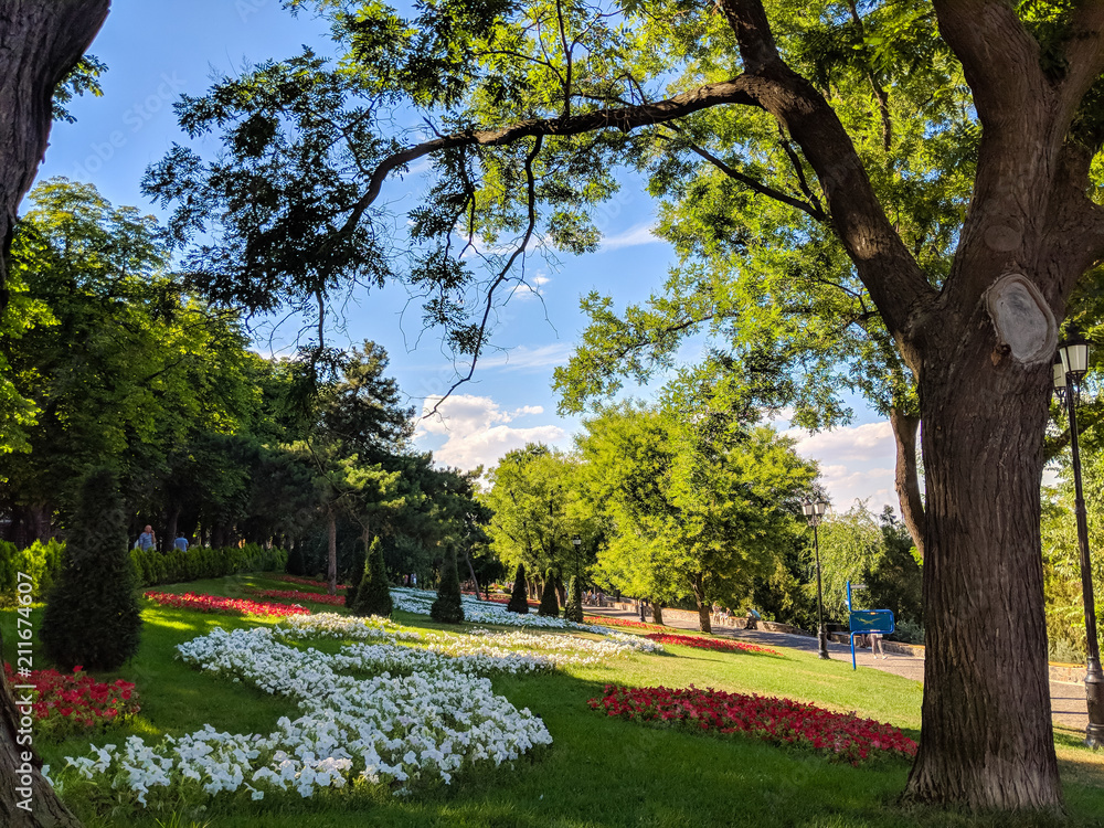 Odesa city park in the summer season