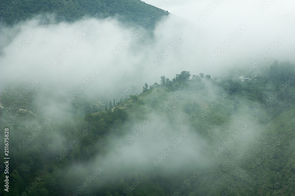 Fototapeta premium village on the green mountain hill in the fog