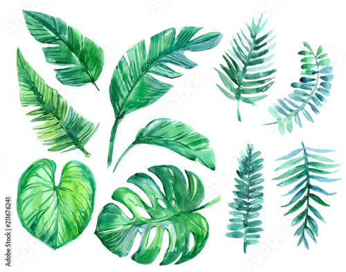 Set of tropical leaves. Watercolor illustration