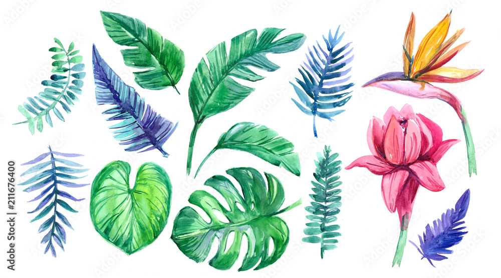 Set of tropical leaves and flowers. Watercolor illustration Set of tropical leaves and flowers. Watercolor illustration
