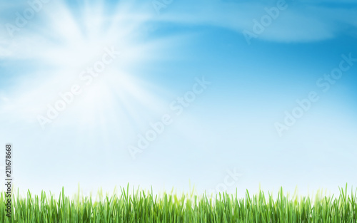 Abstract sunny summer background