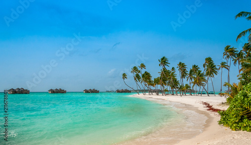The perfect beach. Luxury escape. Tropical paradise. Honeymoon at Maldives. Palms and white sund. Blue ocean