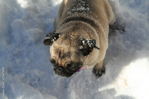 its getting cold