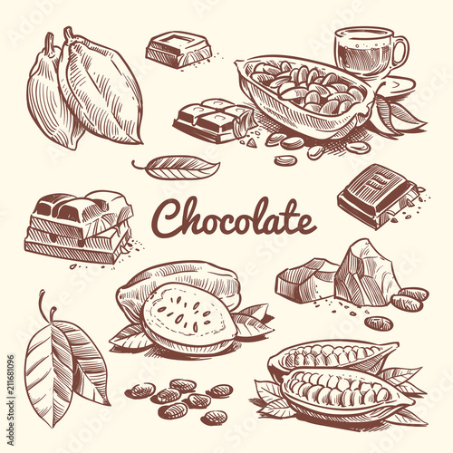 Fototapeta Hand drawn cacao, leaves, cocoa seeds, sweet dessert and chocolate bar
