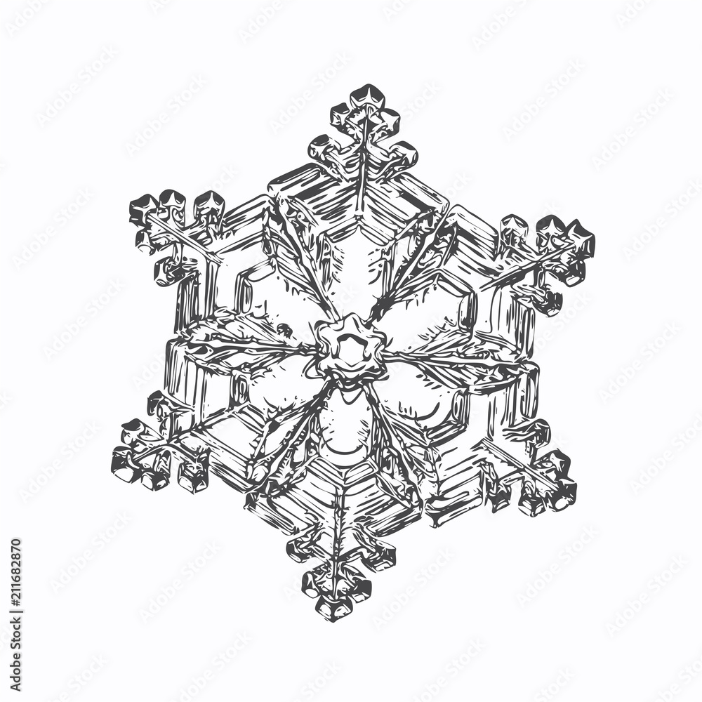 Transparent snowflake on white background. This vector illustration based on macro photo of real snow crystal: small star plate with six short, broad arms, glossy surface and complex inner structure.