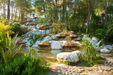 Tropical Landscape design. View of small pond and waterfall