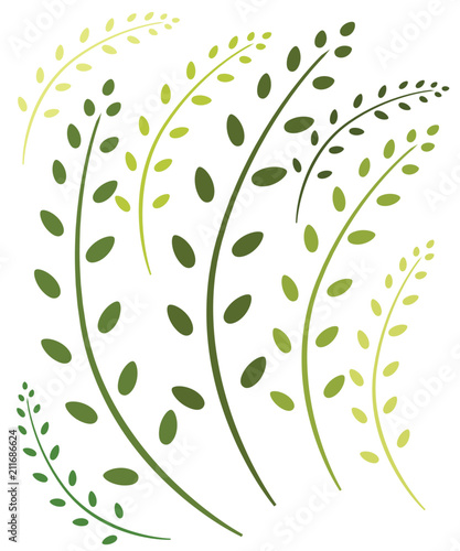 Various green branch with leaves. Flat vector illustration isolated on white background