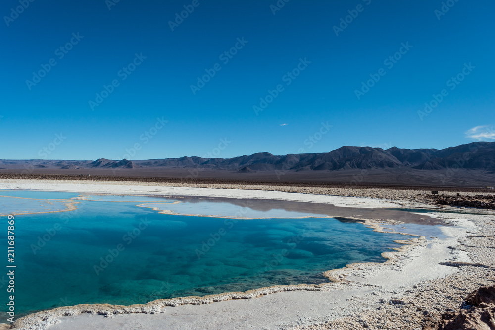 Obraz premium Lagunas Escondidas de Baltinache, amazing blue salty water. Atacama desert. Chile