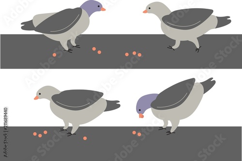 pigeons feeding vector illustration