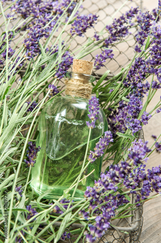 Fototapeta Naklejka Na Ścianę i Meble -  Lavender oil fresh flowers homeopathic herbs