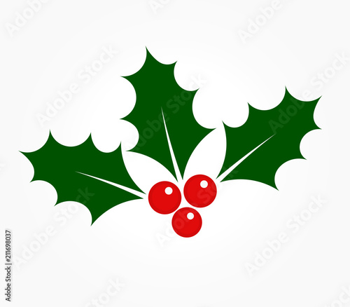 Holly berries Ilex plant