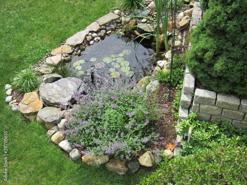 A man made Koi fish pond with lily pads and other plants  