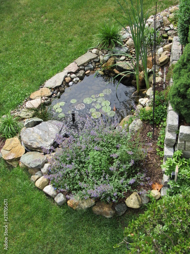 A man made Koi fish pond with lily pads and other plants  