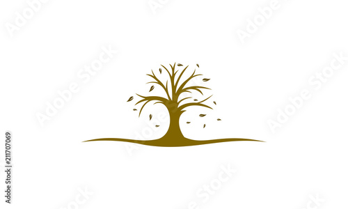 tree leaves falling