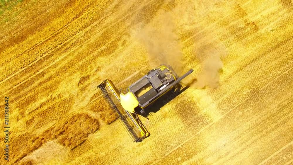 Aerial view of combine harvester. Harvest of wheat field. Industrial background on agricultural theme. Biofuel and food production from above. Agriculture and environment in European Union. Aerial view of combine harvester. Harvest of wheat field. Industrial background on agricultural theme. Biofuel and food production from above. Agriculture and environment in European Union.