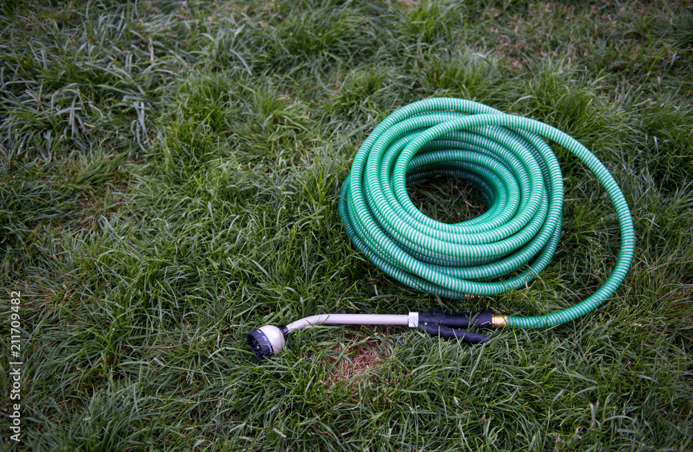 Naklejka premium Green Garden Hose Rolled on Grass