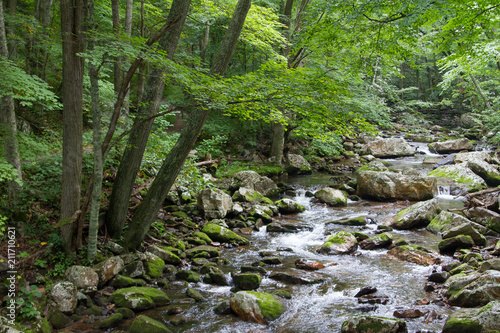 River Water Flowing Through Moss Covered Rocks in Jefferson National Forest in Giles  Virginia in Summer