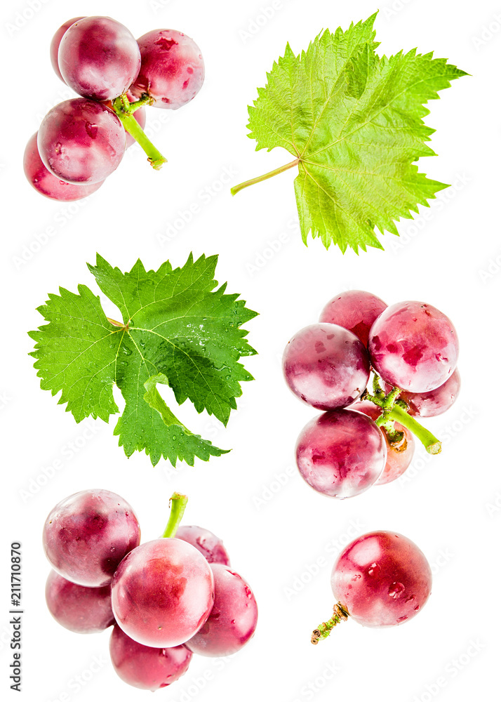 Obraz premium grapes with leaves flying in the air isolated on white with clipping path