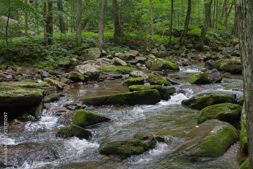 River Water Flowing Through Moss Covered Rocks in Jefferson National Forest in Giles, Virginia in Summer River Water Flowing Through Moss Covered Rocks in Jefferson National Forest in Giles, Virginia in Summer