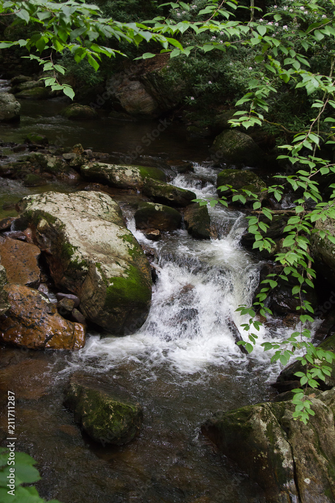 River Water Flowing Through Moss Covered Rocks in Jefferson National Forest in Giles, Virginia in Summer