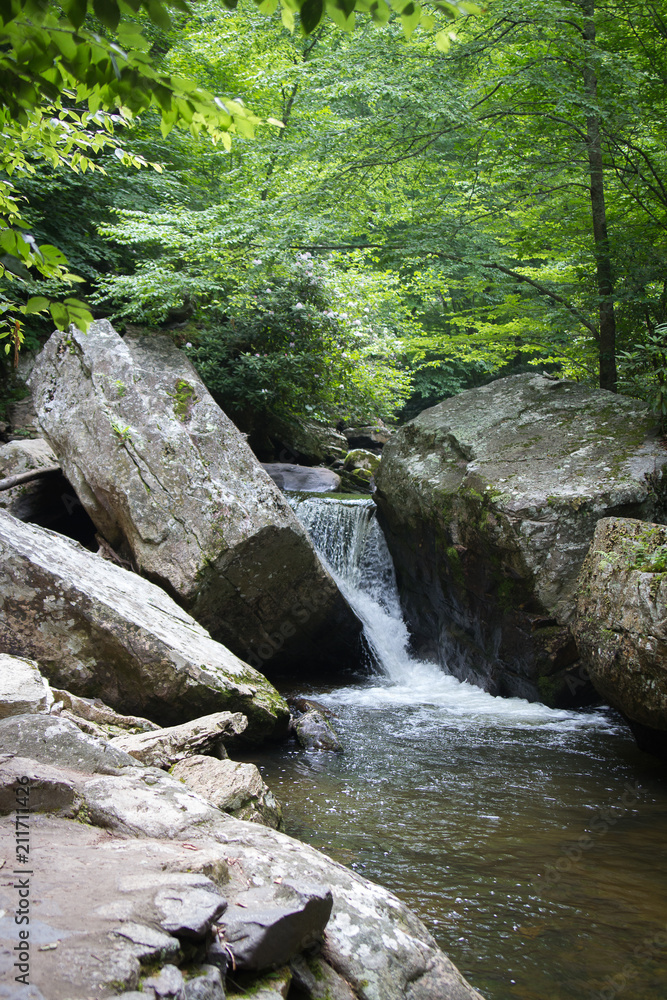 River Water Flowing Through Moss Covered Rocks in Jefferson National Forest in Giles, Virginia in Summer River Water Flowing Through Moss Covered Rocks in Jefferson National Forest in Giles, Virginia in Summer