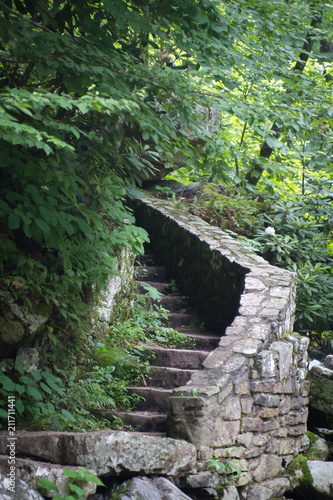 Stone Steps in Nature - Stairs on a Hiking Trail in the Forest in Virginia Surrounded by Lush Foliage beside a River