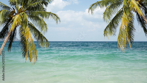 Fototapeta Naklejka Na Ścianę i Meble -  Seaside with palms and a beach