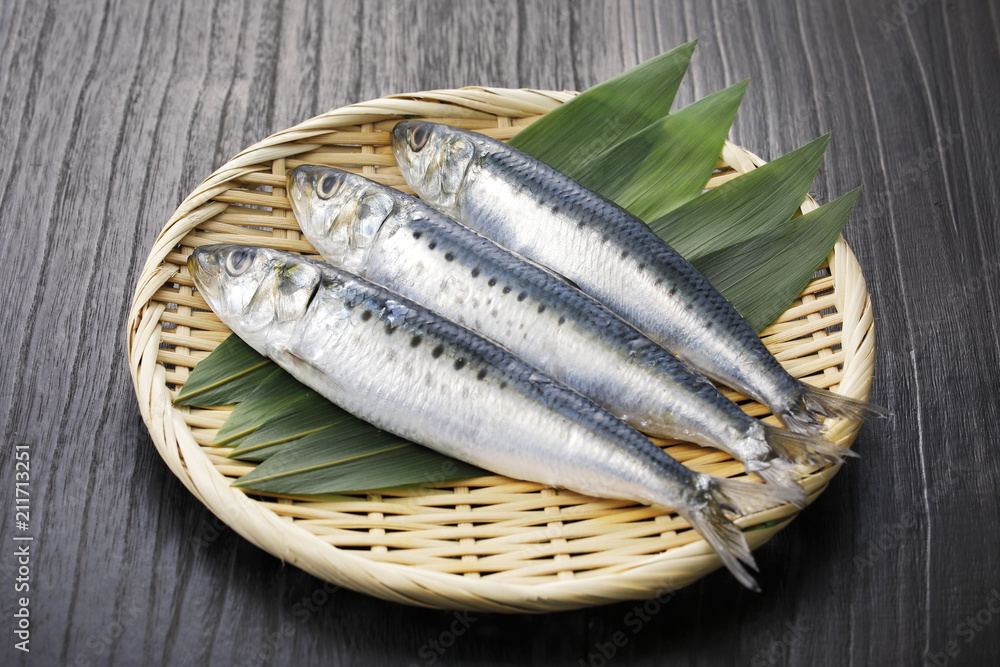 真鰯 Japanese sardine 真鰯 Japanese sardine