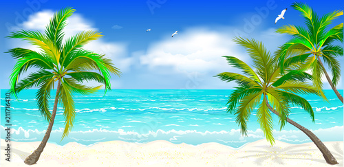 Tropical beach, palm trees 