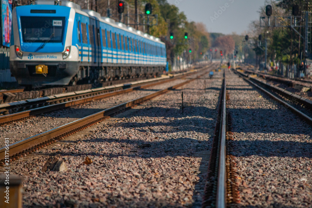 Fototapeta premium Vias de tren