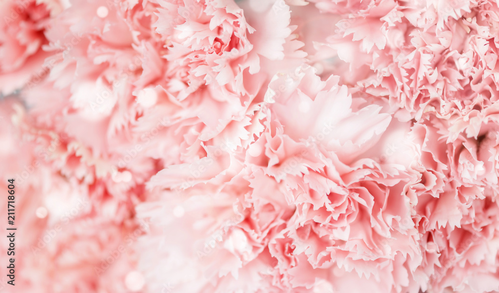 Background of pink carnations flowers