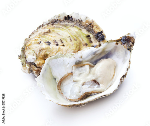 opened and closed oysters isolated on white background