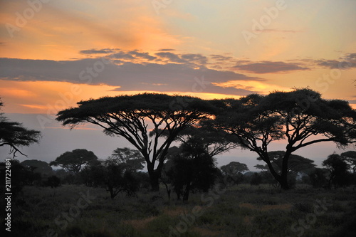Sunrise in the Tsavo National Park (Kenya)