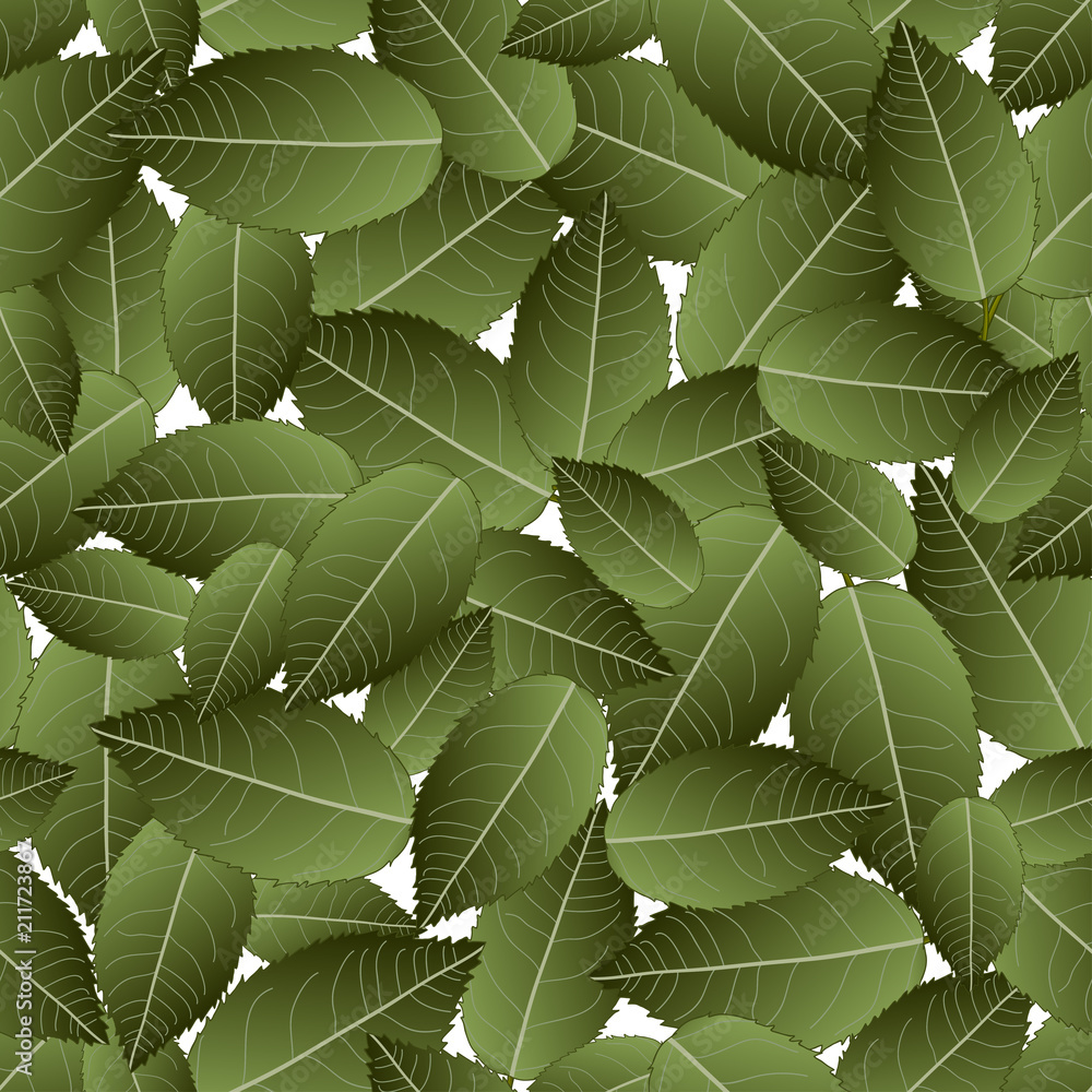 Fototapeta premium Rose Green Leaves on White Background