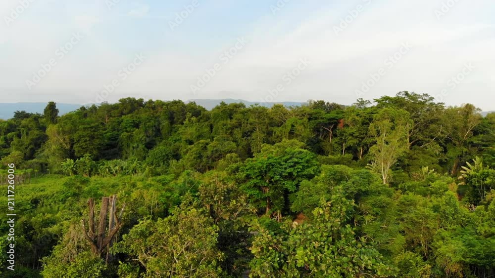 4K Drone shot aerial view scenic landscape of nature tropical forest 4K Drone shot aerial view scenic landscape of nature tropical forest
