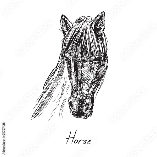 Horse portrait, hand drawn ink doodle, sketch, vector black and white illustration