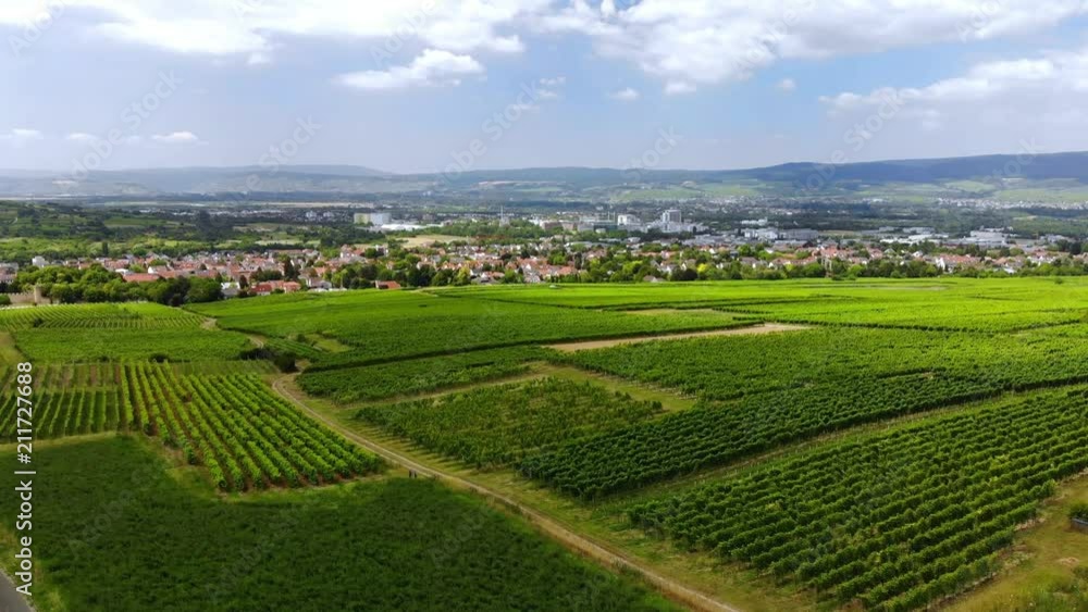 Aerial view of Ingelheim at the river Rhine with vineyards, Flight over, Rheinland-Pfalz, Germany Aerial view of Ingelheim at the river Rhine with vineyards, Flight over, Rheinland-Pfalz, Germany