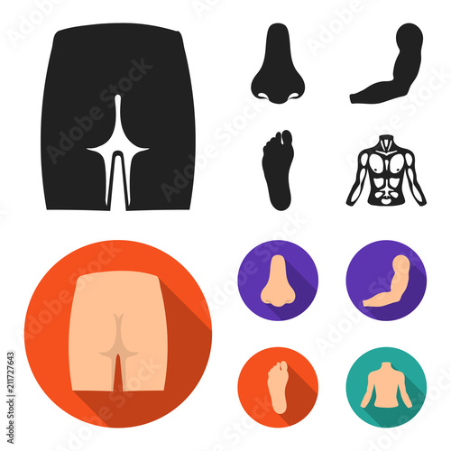 Buttocks, nose, arm, foot. Part of the body set collection icons in black, flat style vector symbol stock illustration web.
