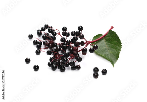 Elderberries with twig and leaf isolated on white background, (Sambucus nigra)