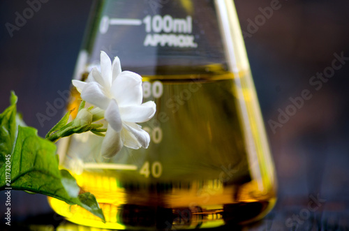 Oil and Jasmine 2