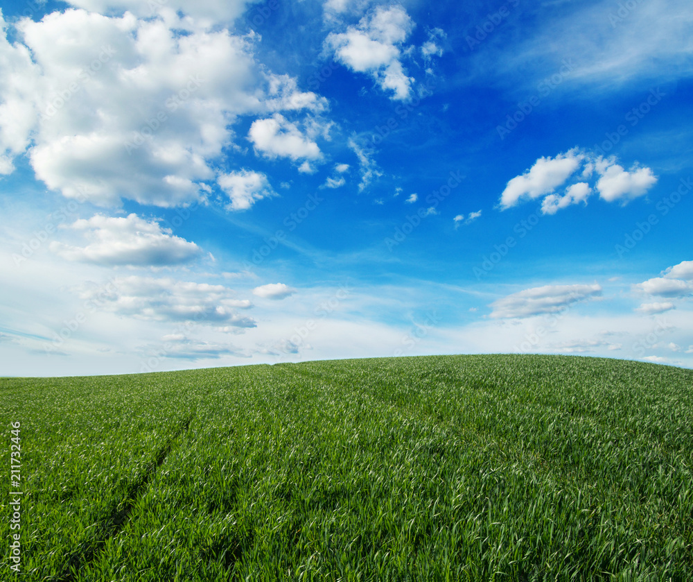 green field and blue sky green field and blue sky