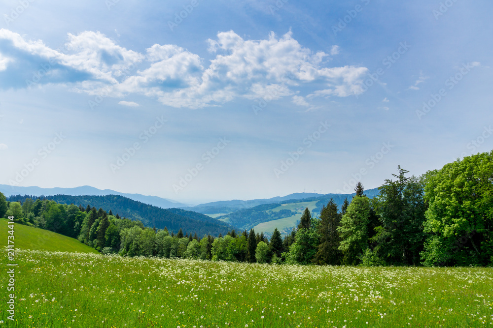 Germany, Endless green nature landscape panorama in black forest holiday region