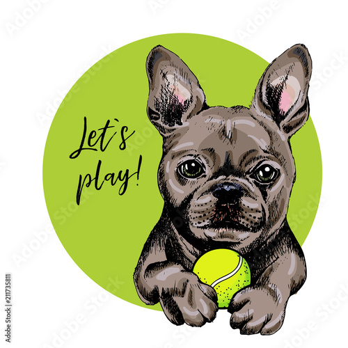 Vector portrait of French bulldog dog with tennis ball. Let s play. Green curveball. Summer cartoon illustration. Hand drawn pet portait. Poster, t-shirt print, holiday, postcard, summertime.