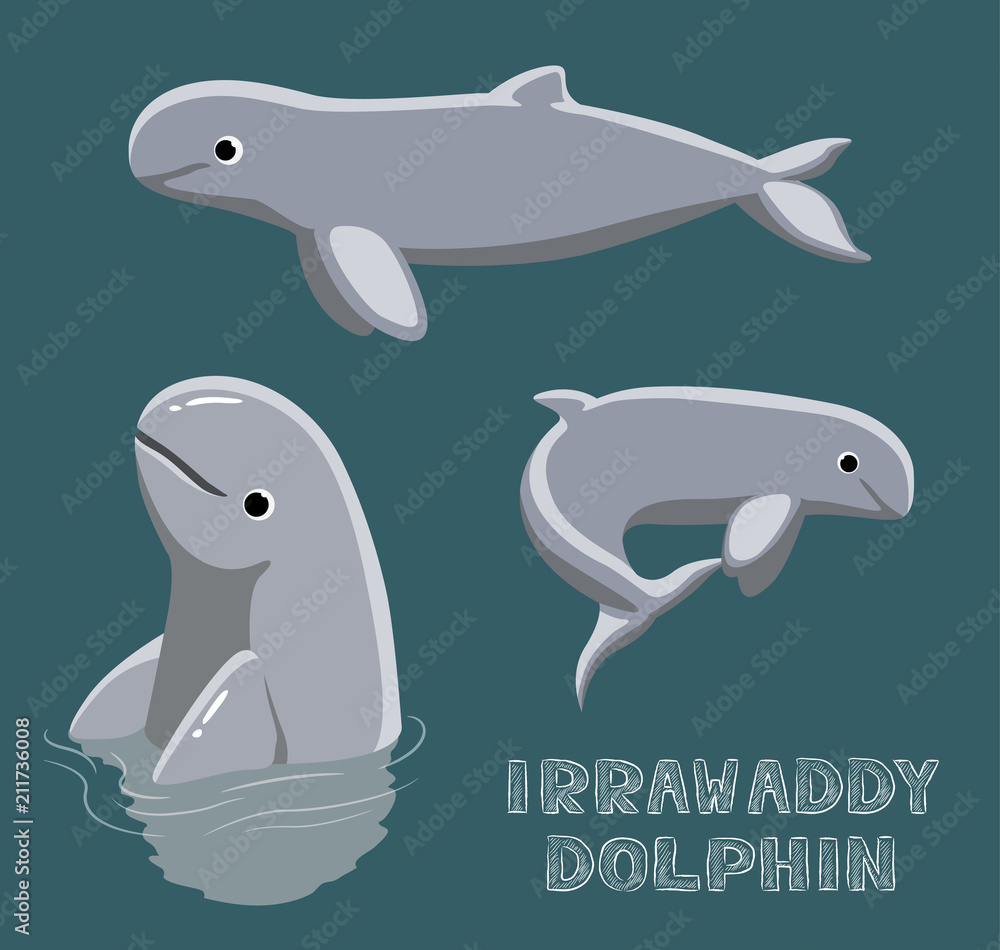 Fototapeta premium Irrawaddy Dolphin Cartoon Vector Illustration