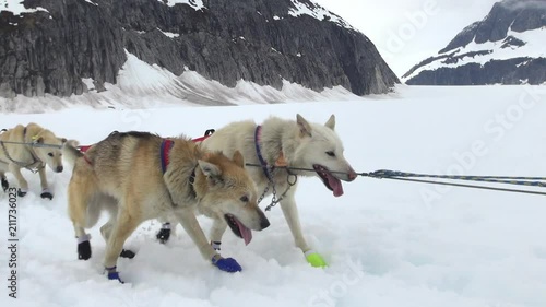 dogsled start off and break - Alaska