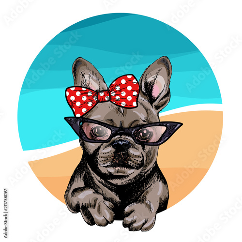 Vector portrait of French bulldog dog wearing sunglasses and retro bow. Summer fashion illustration. Vacation, sea, beach, ocean. Hand drawn pet portait. Poster, t-shirt print, holiday, summertime.